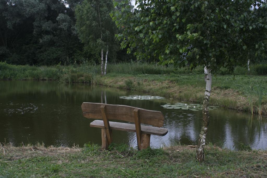 Stajnia Sarnowek Nad Jeziorem Rozany Bed & Breakfast Rozajny Wielkie Exterior foto