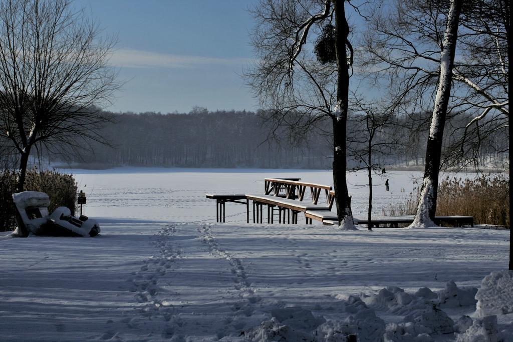 Stajnia Sarnowek Nad Jeziorem Rozany Bed & Breakfast Rozajny Wielkie Exterior foto