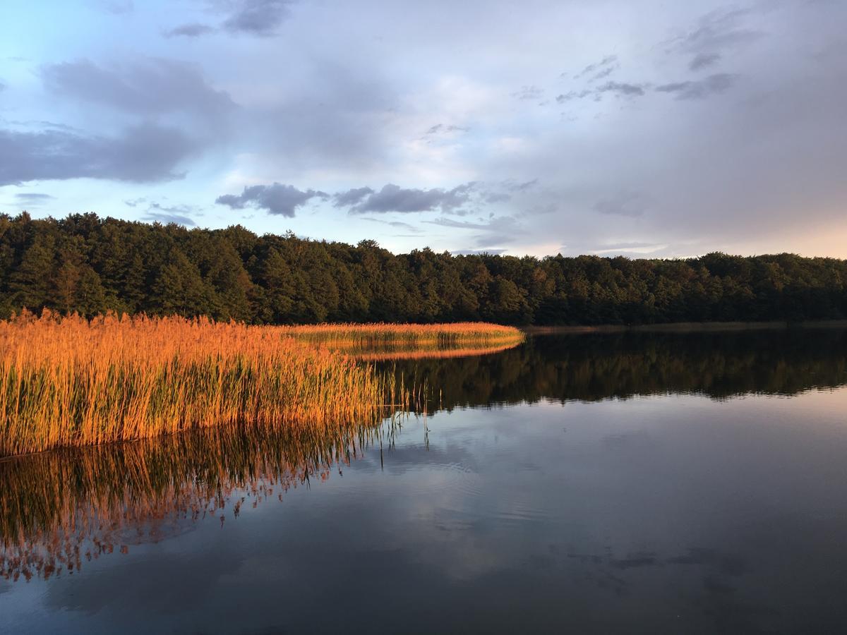 Stajnia Sarnowek Nad Jeziorem Rozany Bed & Breakfast Rozajny Wielkie Exterior foto